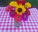 Sonrise Family Farm U-Pick Flowers