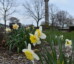 Shrub planting at Perry’s Victory and International Peace Memorial